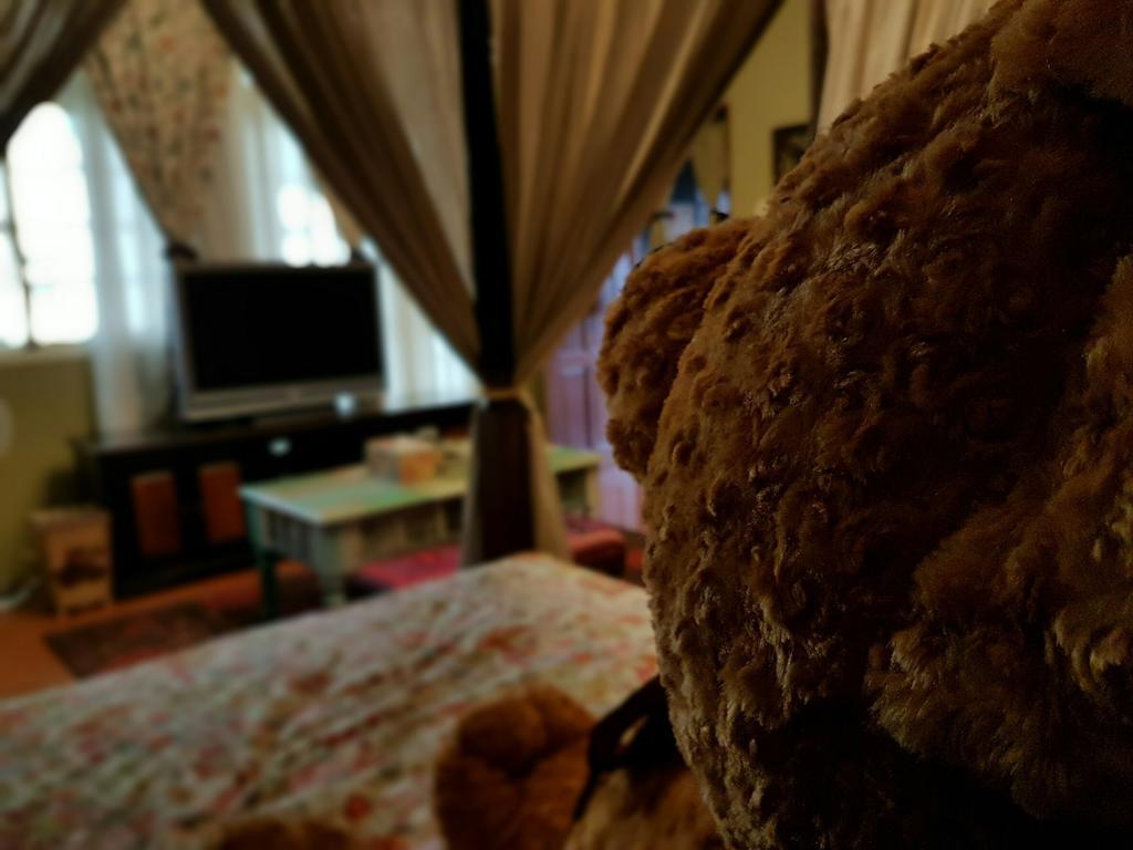 Bearbear Homestay Città di Hualien Esterno foto