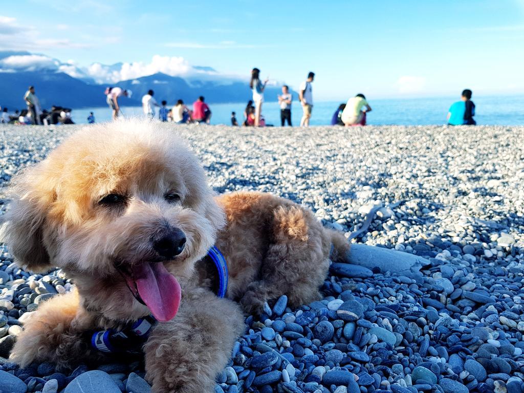 Bearbear Homestay Città di Hualien Esterno foto