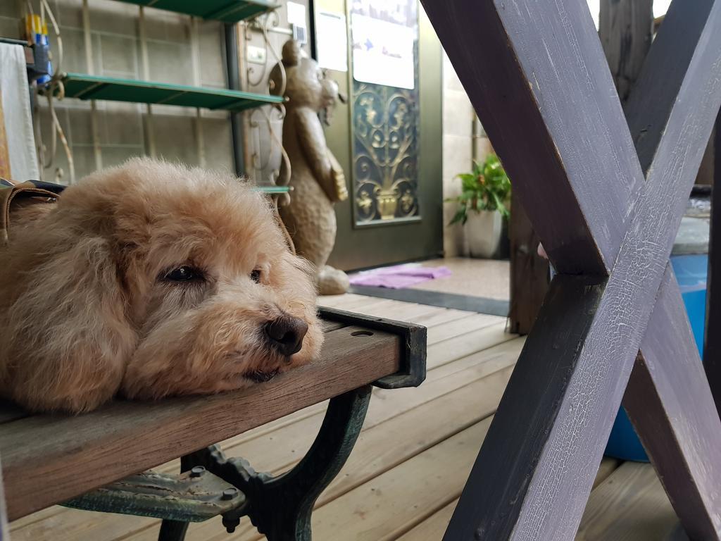 Bearbear Homestay Città di Hualien Esterno foto