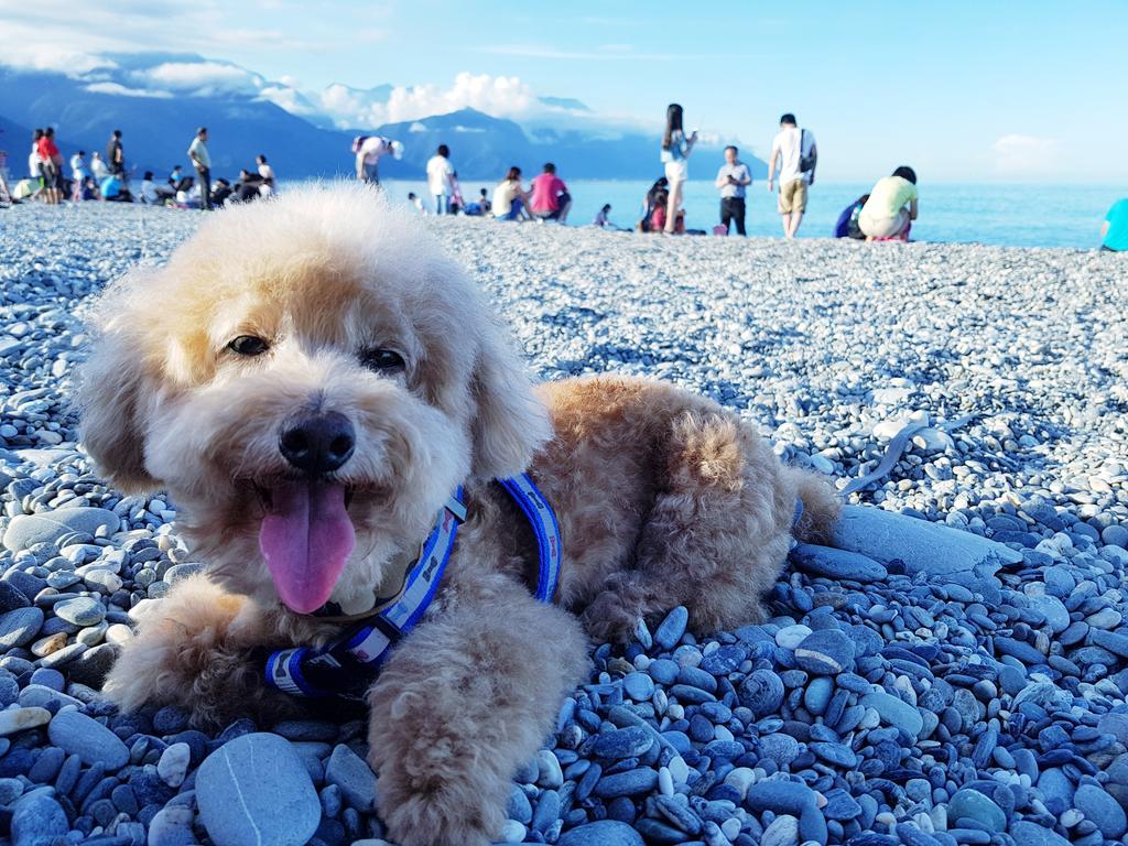 Bearbear Homestay Città di Hualien Esterno foto